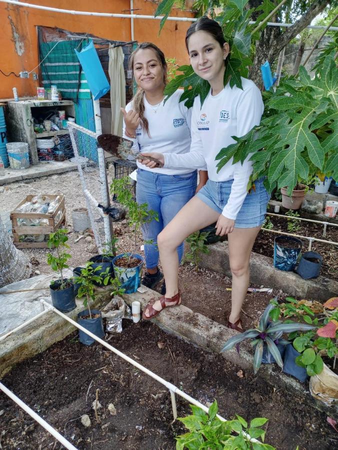 Appartamento Sustainable Cabain Cozumel Esterno foto